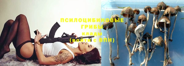 кокс Каменногорск