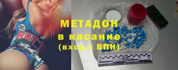 сатива Каменка