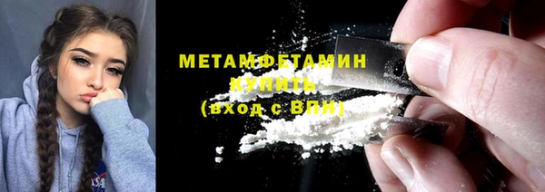 сатива Каменка