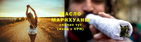сатива Каменка