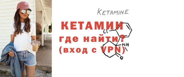 сатива Каменка