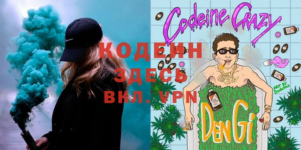 сатива Каменка