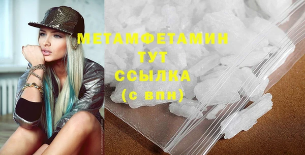 сатива Каменка