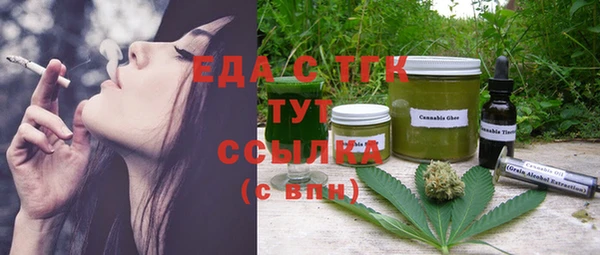 сатива Каменка