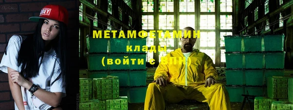 сатива Каменка
