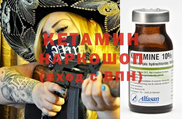 сатива Каменка