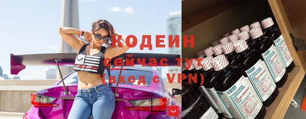 сатива Каменка