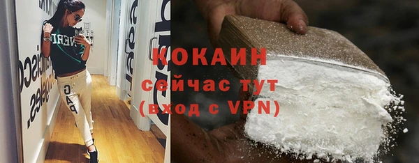 сатива Каменка